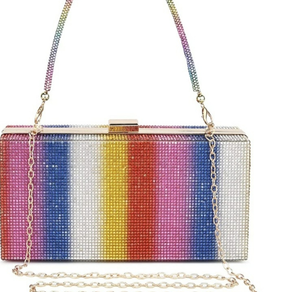 Rainbow Clutch/Bag